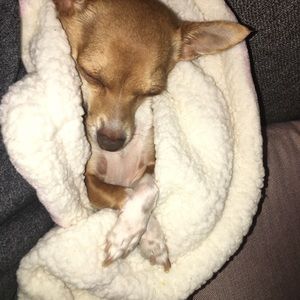 Meet your Posher, Alonso